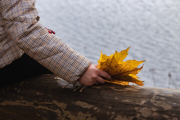 the girl's hand are holding an armful of autumn leaves	