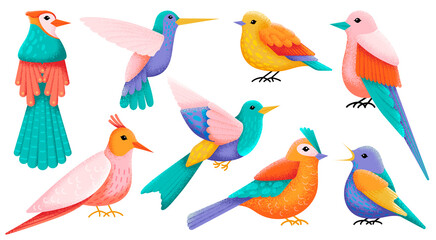 Flat decorative birds. Exotic bird, folk colorful animals. Isolated flying hummingbird. Modern art, textured wild forest elements. Swanky woodland vector characters