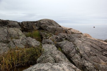 rocky coast of the sea