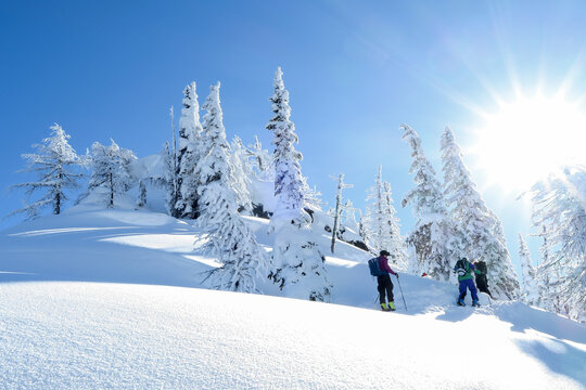 backcountry skiing in the bc rocky mountains