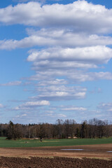 Fototapeta premium nature trees in early spring