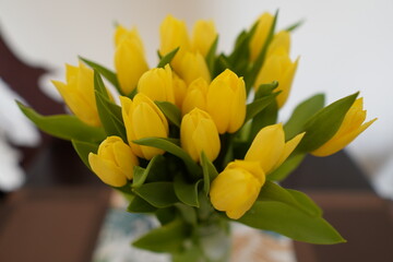 Żółte tulipany bukiet wiosna makro 