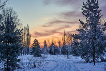Fototapeta na wymiar Winter sunrise 