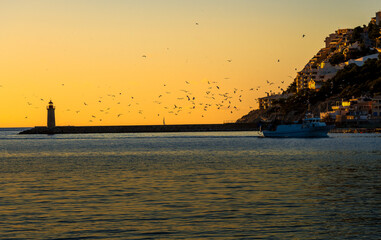 Obraz premium lighthouse at sunset with a flog of birds in the orange sky 