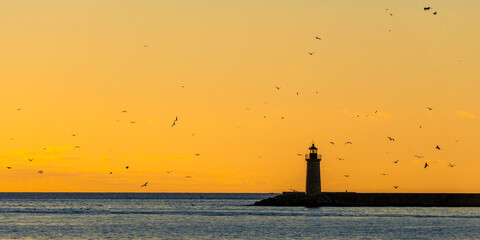 lighthouse at sunset with a flog of birds in the orange sky 