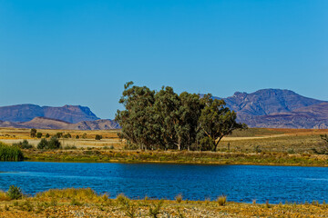 Landscape of lake, Eucalyptus trees and mountains