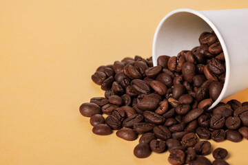 Arabica coffee beans scattered from a white paper cup on a yellow background.