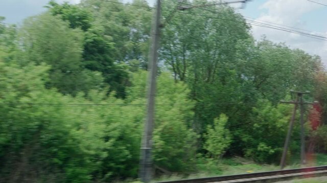 view from window of high-speed train on landscape of beautiful nature wild field and forest on evening cloudy clean sunny day in summer background. Transport, travel, railway, communication concept