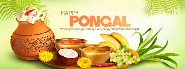 Fototapeta Greeting banner with traditional food and clay pot with rice (ven pongal) for Indian harvest festival Pongal (Makar Sankranti). Vector illustration. obraz