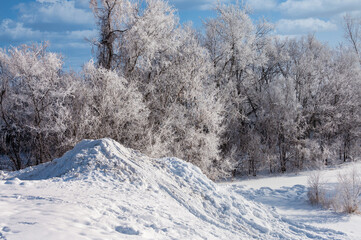 snow covered trees in winter and sliding hill