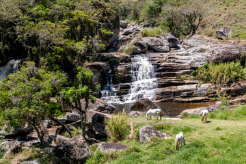 Famous Frades waterfall with bathing pond and white horses in pasture, Vale do Frade, Teresopolis, Rio de Janeiro, Brazil