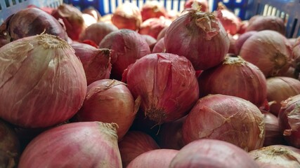 onions in market