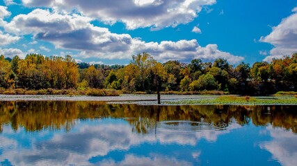 autumn landscape with lake and trees
