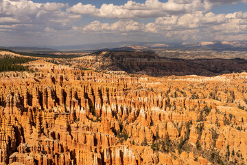 Bryce National Park