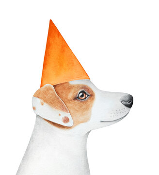 Cute Little Jack Russell Terrier Puppy Looking Up And Wearing Orange Party Hat. Hand Painted Water Color Graphic Drawing, Isolated Element For Design, Greeting Card, Invitation, Sticker, Print.