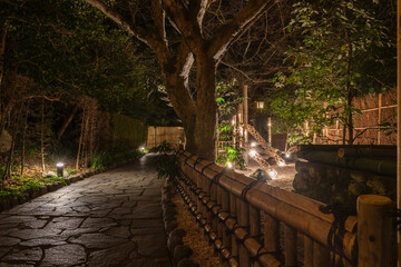 冬の夜にライトアップされた修善寺温泉街の遊歩道