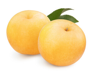 Fresh Snow pear fruit isolated on white background, Fresh pear fruit isolated on white background With clipping path.	