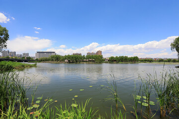 Waterfront City architectural scenery, North China