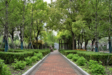 footpath in the park