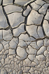 Cracks in mud
