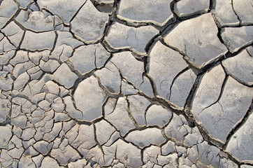 Cracks in mud