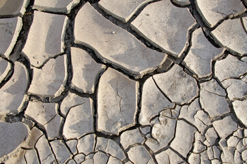 Cracks in mud