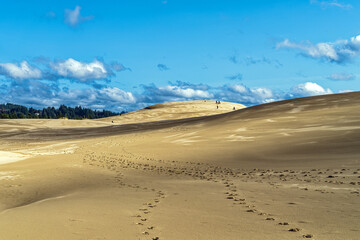 Hikers and mountain bikers enjoying a day at the dunes on the John Dellenback trail in Oregon, USA
