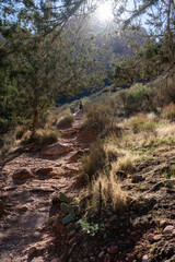 Zion National Park