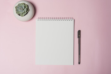 white sheet spiral notebook for notes with copy space on a pink background with a plant succulent and pen top view spring mood