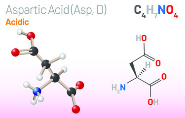 Aspartic Acid (Asp, D) amino acid molecule. (Chemical formula C4H7NO4) proteinogenic amino acid molecule. Ball-and-stick model, space-filling model and skeletal formula. Layered vector illustration
