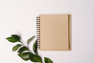 sketchbook brown sheet of paper notepad with spirals for planning top view and next to the leaf of green plant on white background