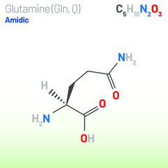 Glutamine (Gln, Q) amino acid molecule. (Chemical formula C5H10N2O3) used in the biosynthesis of proteins. Ball-and-stick model, space-filling model and skeletal formula. Layered vector illustration