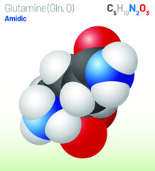 Glutamine (Gln, Q) amino acid molecule. (Chemical formula C5H10N2O3) used in the biosynthesis of proteins. Ball-and-stick model, space-filling model and skeletal formula. Layered vector illustration