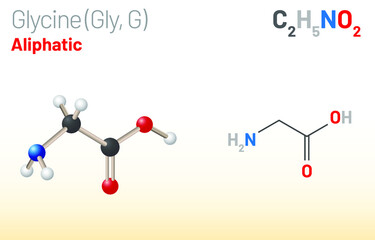 Glycine (Gly, G) amino acid molecule. (Chemical formula C2H5NO2) Ball-and-stick model, space-filling model and skeletal formula. Layered vector illustration
