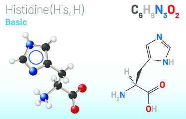 Histidine (His, H) amino acid molecule. (Chemical formula C6H9N3O2) used in the biosynthesis of proteins. Ball-and-stick model, space-filling model and skeletal formula. Layered vector illustration