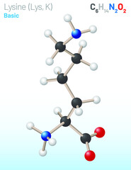 Lysine (Lys, K) amino acid molecule. (Chemical formula C6H14N2O2) used in the biosynthesis of proteins. Ball-and-stick model, space-filling model and skeletal formula. Layered vector illustration