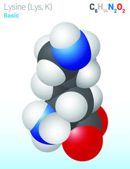 Lysine (Lys, K) amino acid molecule. (Chemical formula C6H14N2O2) used in the biosynthesis of proteins. Ball-and-stick model, space-filling model and skeletal formula. Layered vector illustration