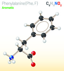 Phenylalanine (Phe, F) amino acid molecule. (Chemical formula C9H11NO2) Ball-and-stick model, space-filling model and skeletal formula. Layered vector illustration