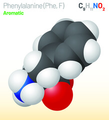 Phenylalanine (Phe, F) amino acid molecule. (Chemical formula C9H11NO2) Ball-and-stick model, space-filling model and skeletal formula. Layered vector illustration