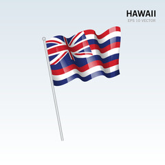 Waving flag of Hawaii state of United States of America on gray background