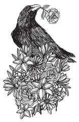 Tattoo art crow on a flower hand drawing and sketch