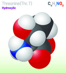 Threonine (Thr, T) amino acid molecule. (Chemical formula C4H9NO3) Ball-and-stick model, space-filling model and skeletal formula. Layered vector illustration