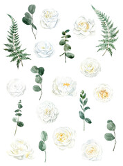 Set of watercolor white roses, peonies, flowers, green leaves. For invitations, backgrounds, wedding sets, fashion, scrapbooking, digital paper.