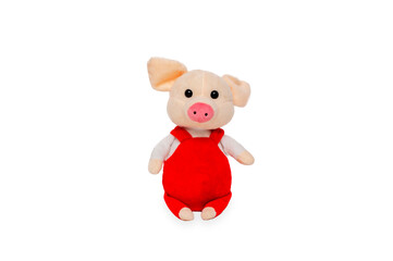 Isolated children's toy on a white background. Toy plush pig.