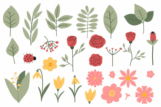 Vector set of spring flowers and leaves. Set with tree branches and different flowers.