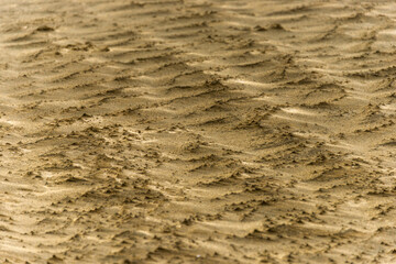 waves on the sandy bottom of a dry river, distorted by a strong wind.