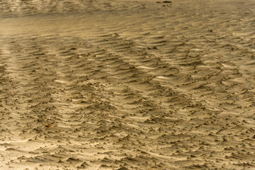 waves on the sandy bottom of a dry river, distorted by a strong wind.