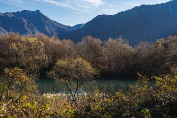 池畔の落葉し始めた晩秋の木々