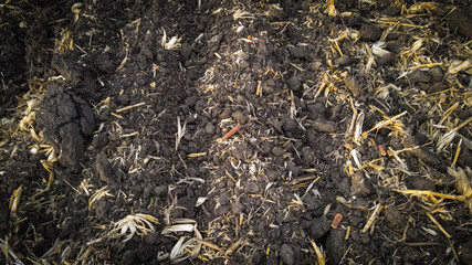 Agricultural field tilled as autumn approaches