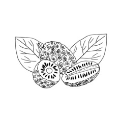 noni fruit and leaves hand drawn doodle. vector, minimalism, scandinavian, monochrome, nordic, sketch. sticker, label, isolated. superfood, food. composition